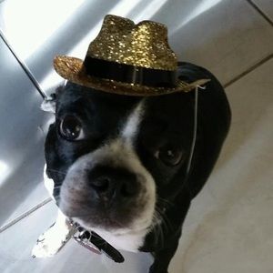 Everyone Needs Some Bling In Their Life!!